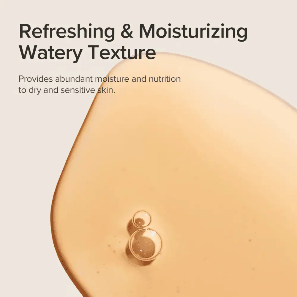 Beauty of Joseon Ginseng Essence Water 150ml - Lebanon - Makeup Germany Beauty of Joseon Ginseng Essence Water 150ml Beauty of Joseon Ginseng Essence Water Lebanon for sale in Lebanon - 150ml clear bottle of nourishing and hydrating Korean ginseng facial essence water