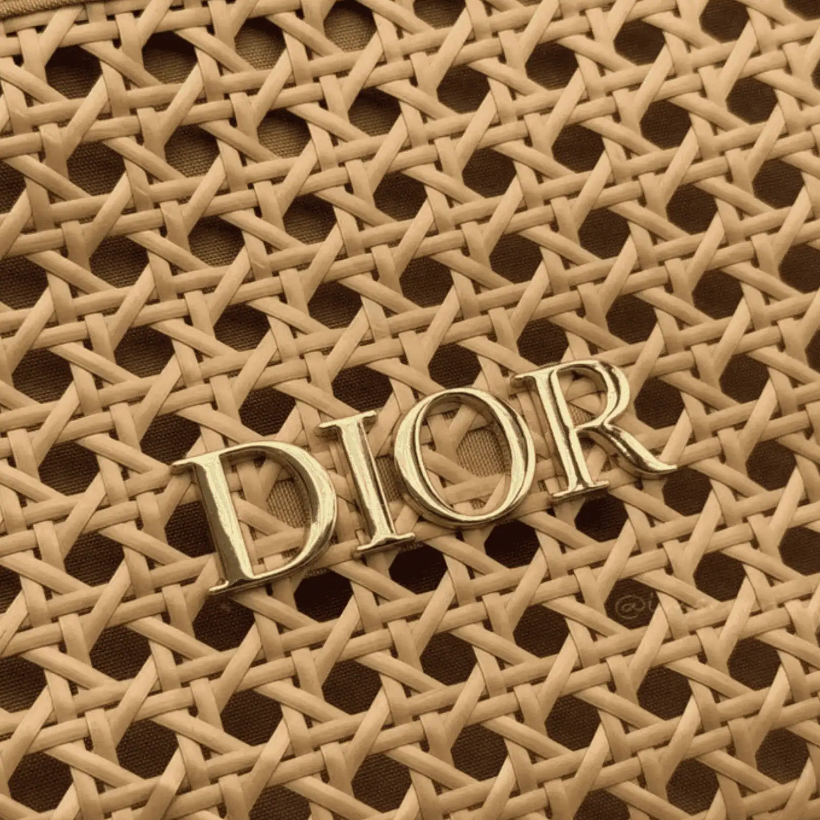 Dior Beauty Clutch - Lebanon - Makeup Germany Dior Bag